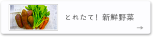 とれたて！新鮮野菜